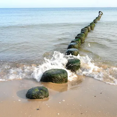 公寓 Haus Auguste - App. 16