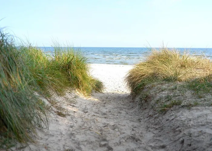 Haus Auguste - App. 16